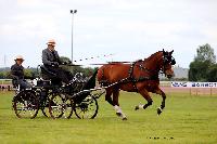 Photo n 48049&#10;LISIEUX Amateur Juin 2019. Photo N. TOUDIC&#10;Yves GIBON&#10;Affiche 33 fois&#10;Ajoute le 17/06/2019 13:25:26 par Nadinetoudic&#10;&#10;--> Cliquer pour agrandir <--