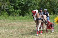 Photo n 48088&#10;Blangy s/ Bresles 2019 - photo Lilie&#10;&#10;Affiche 20 fois&#10;Ajoute le 24/07/2019 07:56:38 par JeanClaudeGrognet&#10;&#10;--> Cliquer pour agrandir <--
