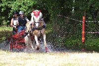 Photo n° 48089
Blangy s/ Bresles 2019 - photo Lilie

Affichée 20 fois
Ajoutée le 24/07/2019 07:56:38 par JeanClaudeGrognet

--> Cliquer pour agrandir <--