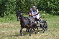 Photo n 48092&#10;Blangy s/ Bresles 2019 - photo Lilie&#10;&#10;Affiche 14 fois&#10;Ajoute le 24/07/2019 07:56:38 par JeanClaudeGrognet&#10;&#10;--> Cliquer pour agrandir <--