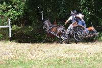 Photo n 48093&#10;Blangy s/ Bresles 2019 - photo Lilie&#10;&#10;Affiche 25 fois&#10;Ajoute le 24/07/2019 07:56:38 par JeanClaudeGrognet&#10;&#10;--> Cliquer pour agrandir <--