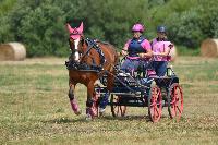 Photo n 48096&#10;Blangy s/ Bresles 2019 - photo Lilie&#10;&#10;Affiche 32 fois&#10;Ajoute le 24/07/2019 07:56:38 par JeanClaudeGrognet&#10;&#10;--> Cliquer pour agrandir <--