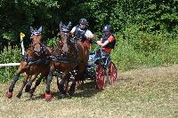 Photo n 48100&#10;Blangy s/ Bresles 2019 - photo Lilie&#10;&#10;Affiche 13 fois&#10;Ajoute le 24/07/2019 07:56:38 par JeanClaudeGrognet&#10;&#10;--> Cliquer pour agrandir <--