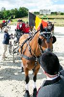 Photo n 48533&#10;CAI Le PIN 2019 photo Mlanie Guillamot mgpy.live&#10;&#10;Affiche 8 fois&#10;Ajoute le 29/07/2019 08:22:32 par JeanClaudeGrognet&#10;&#10;--> Cliquer pour agrandir <--