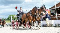Photo n 48564&#10;CAI Le PIN 2019 photo Mlanie Guillamot mgpy.live&#10;&#10;Affiche 8 fois&#10;Ajoute le 29/07/2019 08:22:33 par JeanClaudeGrognet&#10;&#10;--> Cliquer pour agrandir <--