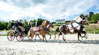 Photo n 48573&#10;CAI Le PIN 2019 photo Mlanie Guillamot mgpy.live&#10;&#10;Affiche 10 fois&#10;Ajoute le 29/07/2019 08:22:33 par JeanClaudeGrognet&#10;&#10;--> Cliquer pour agrandir <--