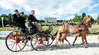 Photo n 48574&#10;CAI Le PIN 2019 photo Mlanie Guillamot mgpy.live&#10;&#10;Affiche 16 fois&#10;Ajoute le 29/07/2019 08:22:34 par JeanClaudeGrognet&#10;&#10;--> Cliquer pour agrandir <--