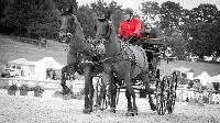 Photo n 48577&#10;CAI Le PIN 2019 photo Mlanie Guilllemot mgpy.live&#10;&#10;Affiche 7 fois&#10;Ajoute le 31/07/2019 08:07:25 par JeanClaudeGrognet&#10;&#10;--> Cliquer pour agrandir <--