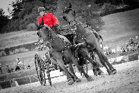 Photo n 48584&#10;CAI Le PIN 2019 photo Mlanie Guilllemot mgpy.live&#10;&#10;Affiche 13 fois&#10;Ajoute le 31/07/2019 08:07:26 par JeanClaudeGrognet&#10;&#10;--> Cliquer pour agrandir <--