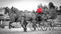 Photo n 48585&#10;CAI Le PIN 2019 photo Mlanie Guilllemot mgpy.live&#10;&#10;Affiche 8 fois&#10;Ajoute le 31/07/2019 08:07:26 par JeanClaudeGrognet&#10;&#10;--> Cliquer pour agrandir <--