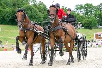 Photo n 48586&#10;CAI Le PIN 2019 photo Mlanie Guilllemot mgpy.live&#10;&#10;Affiche 16 fois&#10;Ajoute le 31/07/2019 08:07:26 par JeanClaudeGrognet&#10;&#10;--> Cliquer pour agrandir <--