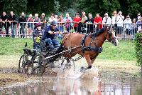 Photo n 48749&#10;Abbaye du Valasse 2019. Photo Nadine TOUDIC&#10;Christophe TRANGOSI&#10;Affiche 14 fois&#10;Ajoute le 15/08/2019 08:46:38 par Nadinetoudic&#10;&#10;--> Cliquer pour agrandir <--