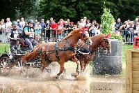 Photo n 48765&#10;Abbaye du Valasse 2019. Photo Nadine TOUDIC&#10;Christophe HERBIN&#10;Affiche 33 fois&#10;Ajoute le 15/08/2019 08:46:39 par Nadinetoudic&#10;&#10;--> Cliquer pour agrandir <--
