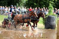 Photo n 48768&#10;Abbaye du Valasse 2019. Photo Nadine TOUDIC&#10;Jean-Marie BELLOY&#10;Affiche 89 fois&#10;Ajoute le 16/08/2019 08:23:18 par Nadinetoudic&#10;&#10;--> Cliquer pour agrandir <--