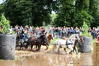 Photo n 48799&#10;Abbaye du Valasse 2019. Photo Nadine TOUDIC&#10;Eric MINNE&#10;Affiche 10 fois&#10;Ajoute le 16/08/2019 08:23:19 par Nadinetoudic&#10;&#10;--> Cliquer pour agrandir <--