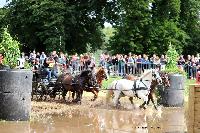 Photo n° 48799
Abbaye du Valasse 2019. Photo Nadine TOUDIC
Eric MINNE
Affichée 8 fois
Ajoutée le 16/08/2019 08:23:19 par Nadinetoudic

--> Cliquer pour agrandir <--