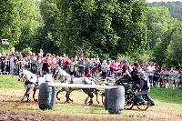 Photo n 48803&#10;Abbaye du Valasse 2019. Photo Nadine TOUDIC&#10;Jrmy NICOLAS&#10;Affiche 16 fois&#10;Ajoute le 16/08/2019 08:23:19 par Nadinetoudic&#10;&#10;--> Cliquer pour agrandir <--