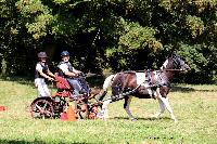 Photo n 48892&#10;TOURVILLE-LES-IFS 2019. Photo Nadine TOUDIC&#10;Thierry AUBE&#10;Affiche 11 fois&#10;Ajoute le 27/08/2019 11:44:56 par Nadinetoudic&#10;&#10;--> Cliquer pour agrandir <--