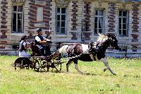 Photo n 48893&#10;TOURVILLE-LES-IFS 2019. Photo Nadine TOUDIC&#10;Thierry AUBE&#10;Affiche 9 fois&#10;Ajoute le 27/08/2019 11:44:56 par Nadinetoudic&#10;&#10;--> Cliquer pour agrandir <--