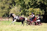 Photo n 48894&#10;TOURVILLE-LES-IFS 2019. Photo Nadine TOUDIC&#10;Thierry AUBE&#10;Affiche 16 fois&#10;Ajoute le 27/08/2019 11:44:56 par Nadinetoudic&#10;&#10;--> Cliquer pour agrandir <--