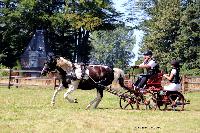 Photo n 48897&#10;TOURVILLE-LES-IFS 2019. Photo Nadine TOUDIC&#10;Thierry AUBE&#10;Affiche 13 fois&#10;Ajoute le 27/08/2019 11:44:56 par Nadinetoudic&#10;&#10;--> Cliquer pour agrandir <--