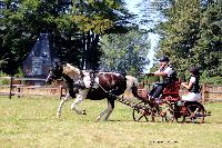 Photo n° 48897
TOURVILLE-LES-IFS 2019. Photo Nadine TOUDIC
Thierry AUBE
Affichée 11 fois
Ajoutée le 27/08/2019 11:44:56 par Nadinetoudic

--> Cliquer pour agrandir <--