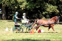Photo n 48900&#10;TOURVILLE-LES-IFS 2019. Photo Nadine TOUDIC&#10;Auriane LAVICE&#10;Affiche 10 fois&#10;Ajoute le 27/08/2019 11:44:56 par Nadinetoudic&#10;&#10;--> Cliquer pour agrandir <--