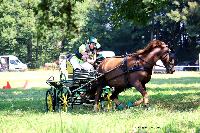 Photo n 48901&#10;TOURVILLE-LES-IFS 2019. Photo Nadine TOUDIC&#10;Auriane LAVICE&#10;Affiche 6 fois&#10;Ajoute le 27/08/2019 11:44:56 par Nadinetoudic&#10;&#10;--> Cliquer pour agrandir <--