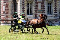 Photo n 48902&#10;TOURVILLE-LES-IFS 2019. Photo Nadine TOUDIC&#10;Auriane LAVICE&#10;Affiche 5 fois&#10;Ajoute le 27/08/2019 11:44:56 par Nadinetoudic&#10;&#10;--> Cliquer pour agrandir <--