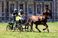 Photo n 48903&#10;TOURVILLE-LES-IFS 2019. Photo Nadine TOUDIC&#10;Auriane LAVICE&#10;Affiche 8 fois&#10;Ajoute le 27/08/2019 11:44:56 par Nadinetoudic&#10;&#10;--> Cliquer pour agrandir <--