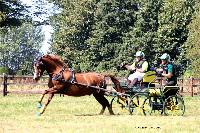 Photo n 48904&#10;TOURVILLE-LES-IFS 2019. Photo Nadine TOUDIC&#10;Auriane LAVICE&#10;Affiche 12 fois&#10;Ajoute le 27/08/2019 11:44:56 par Nadinetoudic&#10;&#10;--> Cliquer pour agrandir <--