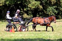 Photo n 48908&#10;TOURVILLE-LES-IFS 2019. Photo Nadine TOUDIC&#10;Ren GEFFROY&#10;Affiche 7 fois&#10;Ajoute le 27/08/2019 11:44:56 par Nadinetoudic&#10;&#10;--> Cliquer pour agrandir <--