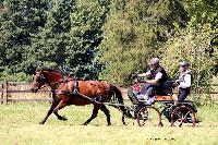 Photo n 48909&#10;TOURVILLE-LES-IFS 2019. Photo Nadine TOUDIC&#10;Ren GEFFROY&#10;Affiche 6 fois&#10;Ajoute le 27/08/2019 11:44:56 par Nadinetoudic&#10;&#10;--> Cliquer pour agrandir <--