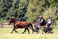 Photo n° 48909
TOURVILLE-LES-IFS 2019. Photo Nadine TOUDIC
René GEFFROY
Affichée 4 fois
Ajoutée le 27/08/2019 11:44:56 par Nadinetoudic

--> Cliquer pour agrandir <--