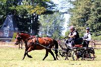 Photo n 48910&#10;TOURVILLE-LES-IFS 2019. Photo Nadine TOUDIC&#10;Ren GEFFROY&#10;Affiche 12 fois&#10;Ajoute le 27/08/2019 11:44:56 par Nadinetoudic&#10;&#10;--> Cliquer pour agrandir <--