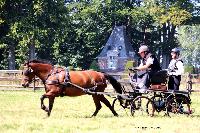 Photo n 48911&#10;TOURVILLE-LES-IFS 2019. Photo Nadine TOUDIC&#10;Ren GEFFROY&#10;Affiche 7 fois&#10;Ajoute le 27/08/2019 11:44:56 par Nadinetoudic&#10;&#10;--> Cliquer pour agrandir <--