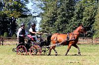 Photo n 48912&#10;TOURVILLE-LES-IFS 2019. Photo Nadine TOUDIC&#10;Bruno HIS&#10;Affiche 6 fois&#10;Ajoute le 27/08/2019 11:44:56 par Nadinetoudic&#10;&#10;--> Cliquer pour agrandir <--