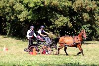 Photo n 48913&#10;TOURVILLE-LES-IFS 2019. Photo Nadine TOUDIC&#10;Bruno HIS&#10;Affiche 7 fois&#10;Ajoute le 27/08/2019 11:44:56 par Nadinetoudic&#10;&#10;--> Cliquer pour agrandir <--