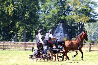 Photo n 48914&#10;TOURVILLE-LES-IFS 2019. Photo Nadine TOUDIC&#10;Bruno HIS&#10;Affiche 7 fois&#10;Ajoute le 27/08/2019 11:44:56 par Nadinetoudic&#10;&#10;--> Cliquer pour agrandir <--