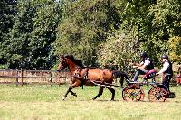 Photo n 48915&#10;TOURVILLE-LES-IFS 2019. Photo Nadine TOUDIC&#10;Bruno HIS&#10;Affiche 8 fois&#10;Ajoute le 27/08/2019 11:44:56 par Nadinetoudic&#10;&#10;--> Cliquer pour agrandir <--