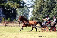 Photo n 48916&#10;TOURVILLE-LES-IFS 2019. Photo Nadine TOUDIC&#10;Bruno HIS&#10;Affiche 6 fois&#10;Ajoute le 27/08/2019 11:44:56 par Nadinetoudic&#10;&#10;--> Cliquer pour agrandir <--