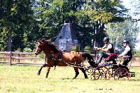 Photo n 48917&#10;TOURVILLE-LES-IFS 2019. Photo Nadine TOUDIC&#10;Bruno HIS&#10;Affiche 8 fois&#10;Ajoute le 27/08/2019 11:44:56 par Nadinetoudic&#10;&#10;--> Cliquer pour agrandir <--
