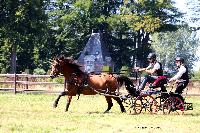 Photo n° 48917
TOURVILLE-LES-IFS 2019. Photo Nadine TOUDIC
Bruno HIS
Affichée 6 fois
Ajoutée le 27/08/2019 11:44:56 par Nadinetoudic

--> Cliquer pour agrandir <--