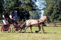 Photo n 48919&#10;TOURVILLE-LES-IFS 2019. Photo Nadine TOUDIC&#10;Mickal PARIS&#10;Affiche 20 fois&#10;Ajoute le 27/08/2019 11:44:57 par Nadinetoudic&#10;&#10;--> Cliquer pour agrandir <--