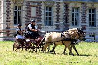 Photo n 48922&#10;TOURVILLE-LES-IFS 2019. Photo Nadine TOUDIC&#10;Mickal PARIS&#10;Affiche 15 fois&#10;Ajoute le 27/08/2019 11:44:57 par Nadinetoudic&#10;&#10;--> Cliquer pour agrandir <--