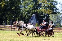 Photo n 48923&#10;TOURVILLE-LES-IFS 2019. Photo Nadine TOUDIC&#10;Mickal PARIS&#10;Affiche 23 fois&#10;Ajoute le 27/08/2019 11:44:57 par Nadinetoudic&#10;&#10;--> Cliquer pour agrandir <--