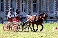 Photo n° 48927
TOURVILLE-LES-IFS 2019. Photo Nadine TOUDIC
Sabine GUERIN
Affichée 4 fois
Ajoutée le 29/08/2019 08:24:54 par Nadinetoudic

--> Cliquer pour agrandir <--