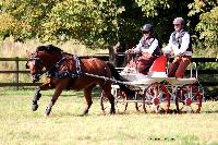 Photo n 48928&#10;TOURVILLE-LES-IFS 2019. Photo Nadine TOUDIC&#10;Sabine GUERIN&#10;Affiche 11 fois&#10;Ajoute le 29/08/2019 08:24:54 par Nadinetoudic&#10;&#10;--> Cliquer pour agrandir <--