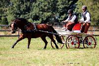 Photo n 48929&#10;TOURVILLE-LES-IFS 2019. Photo Nadine TOUDIC&#10;Sabine GUERIN&#10;Affiche 9 fois&#10;Ajoute le 29/08/2019 08:24:54 par Nadinetoudic&#10;&#10;--> Cliquer pour agrandir <--
