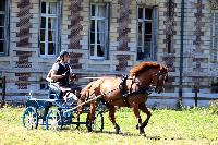 Photo n 48933&#10;TOURVILLE-LES-IFS 2019. Photo Nadine TOUDIC&#10;Alexandre THIBAUDEAU&#10;Affiche 9 fois&#10;Ajoute le 29/08/2019 08:24:55 par Nadinetoudic&#10;&#10;--> Cliquer pour agrandir <--